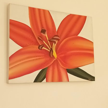 Appartement Croisette Sainte-Maxime Luaran gambar